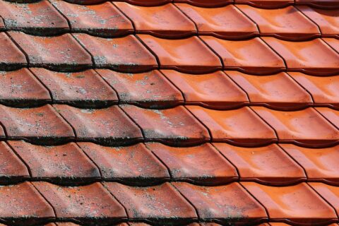 Roof Cleaner Mildenhall