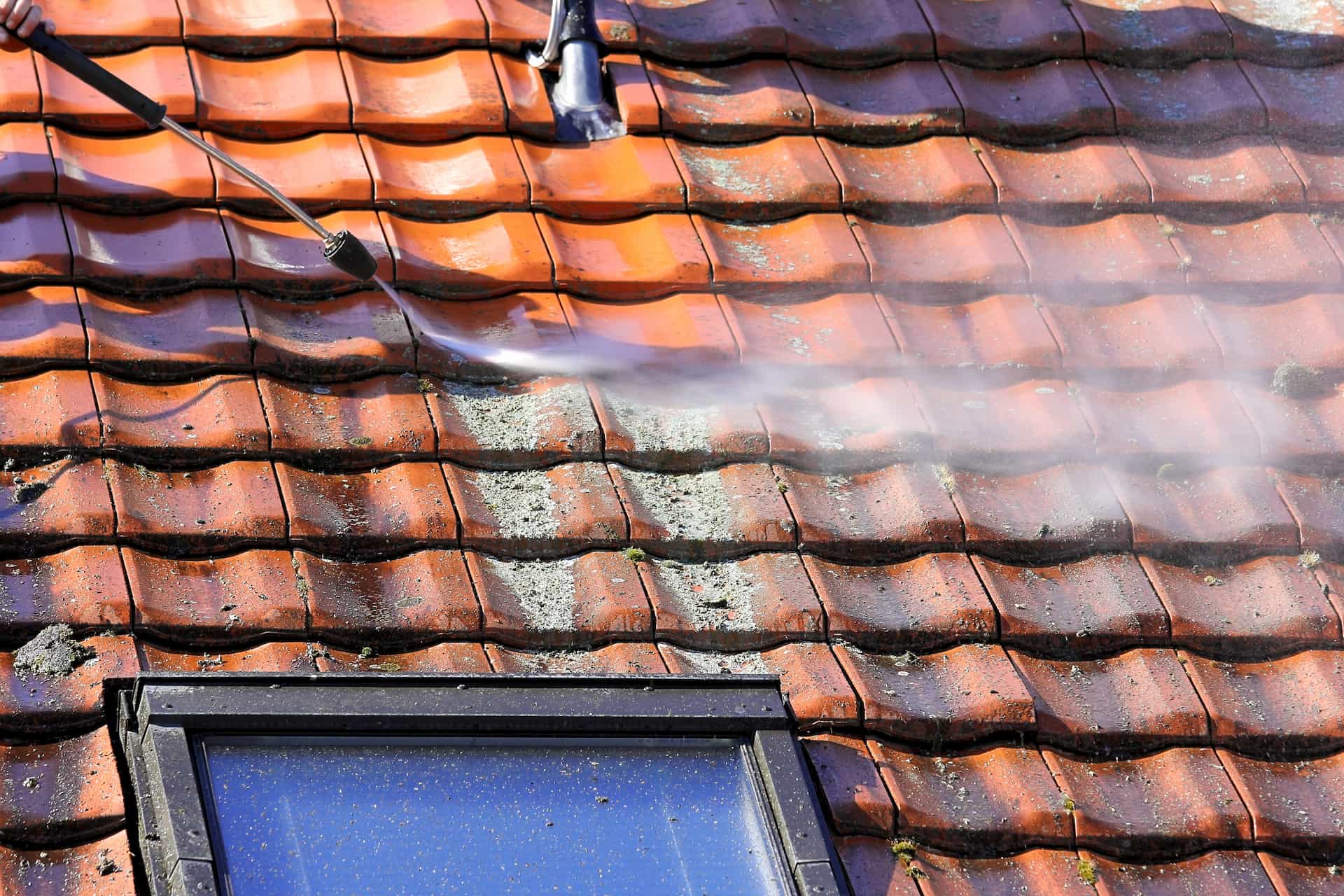 Roof cleaners near me Bury St Edmunds
