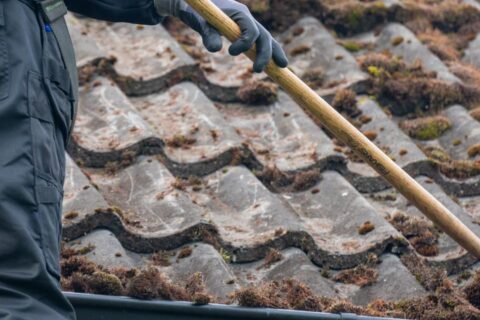 Bury St Edmunds Roof Moss Removal Experts