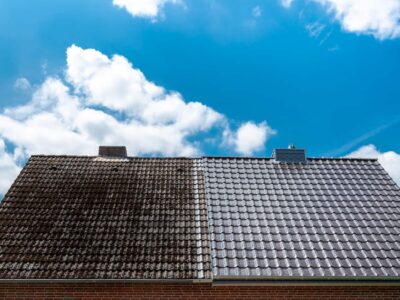 Mildenhall roof moss removal