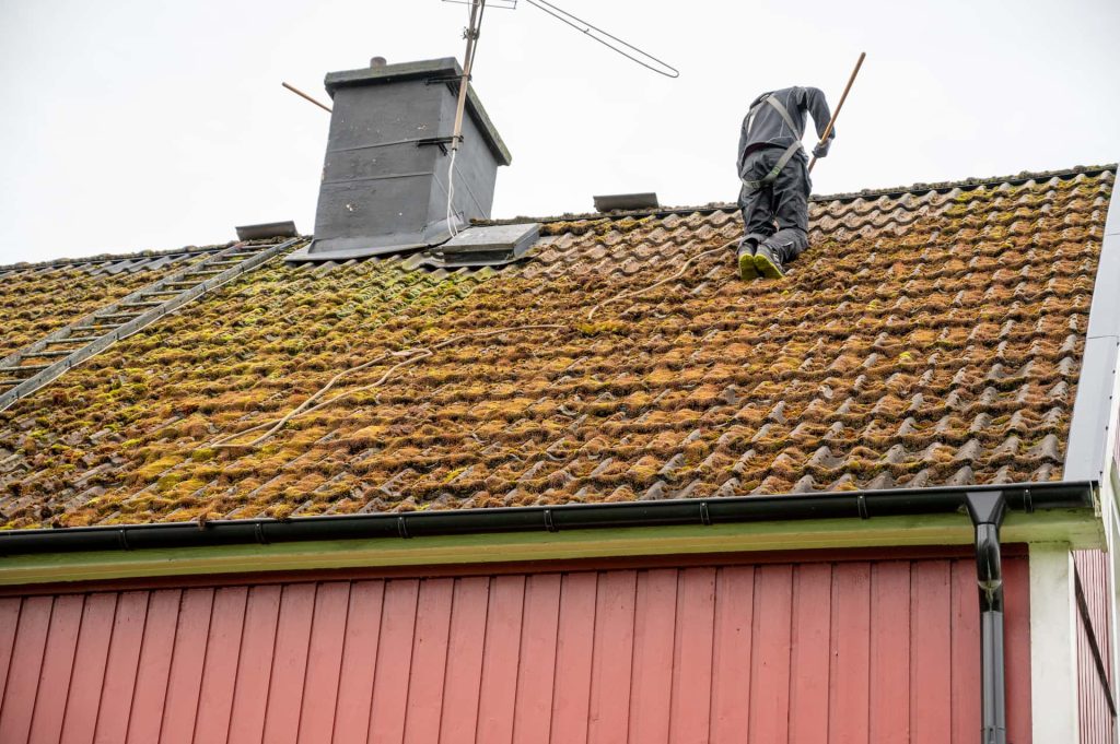 Roof moss removal services Bury St Edmunds