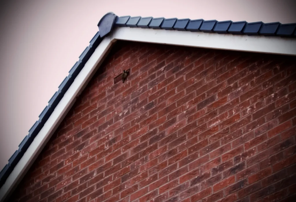 Bury St Edmunds fascia installers